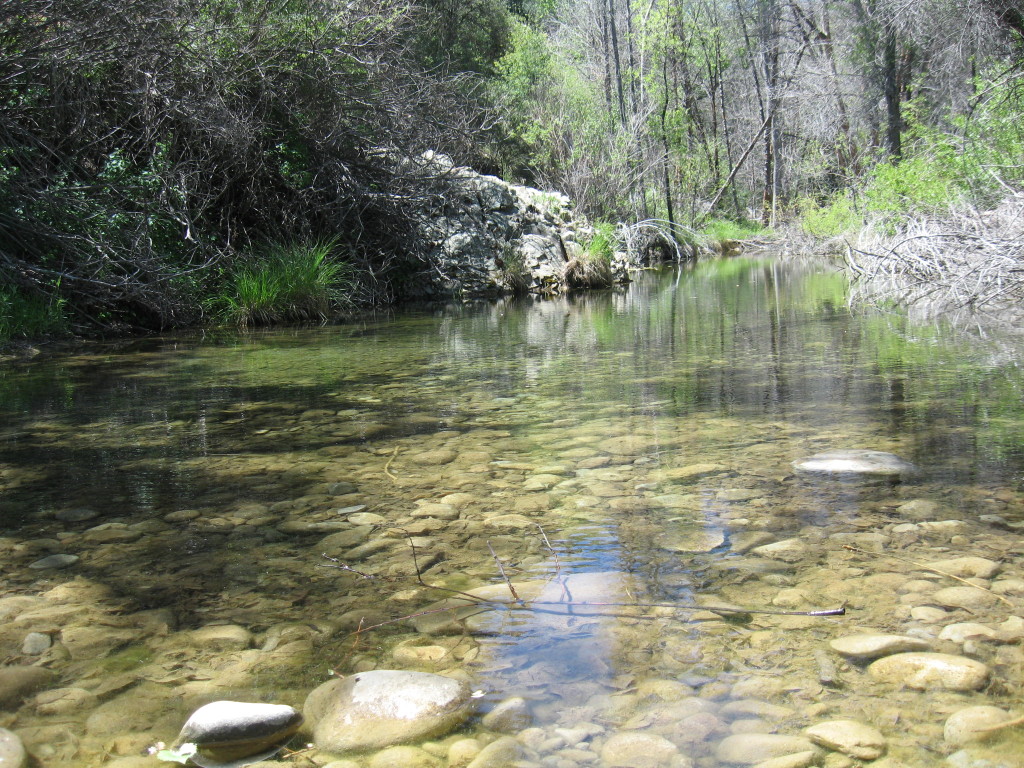 Sespe swimming hole